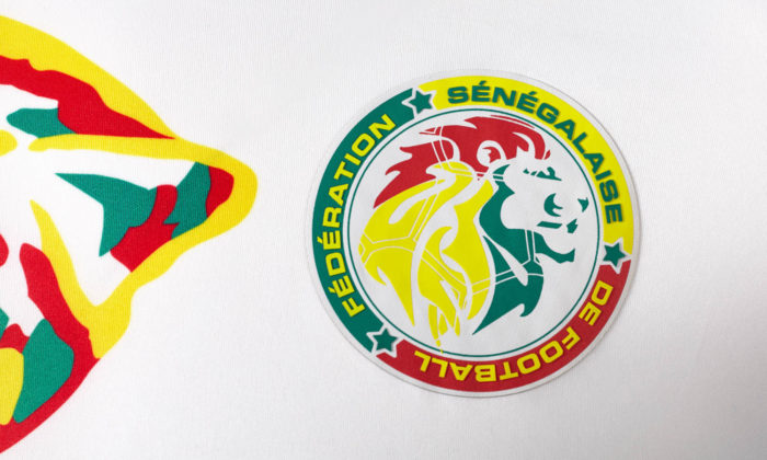 Senegals 2017 Heimtrikot im Detail. Besonders der farblich ansprechende Löwenkopf gefällt.