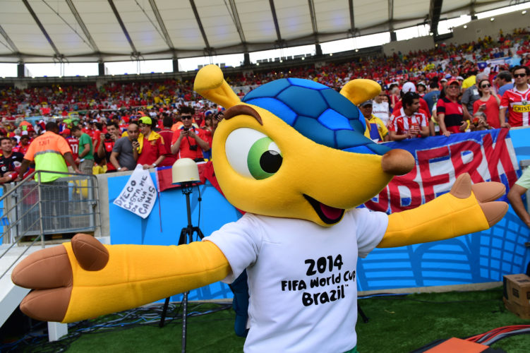 Das offizielle FIFA WM 2014 Maskottchen Fuleco AFP PHOTO / MARTIN BERNETTI